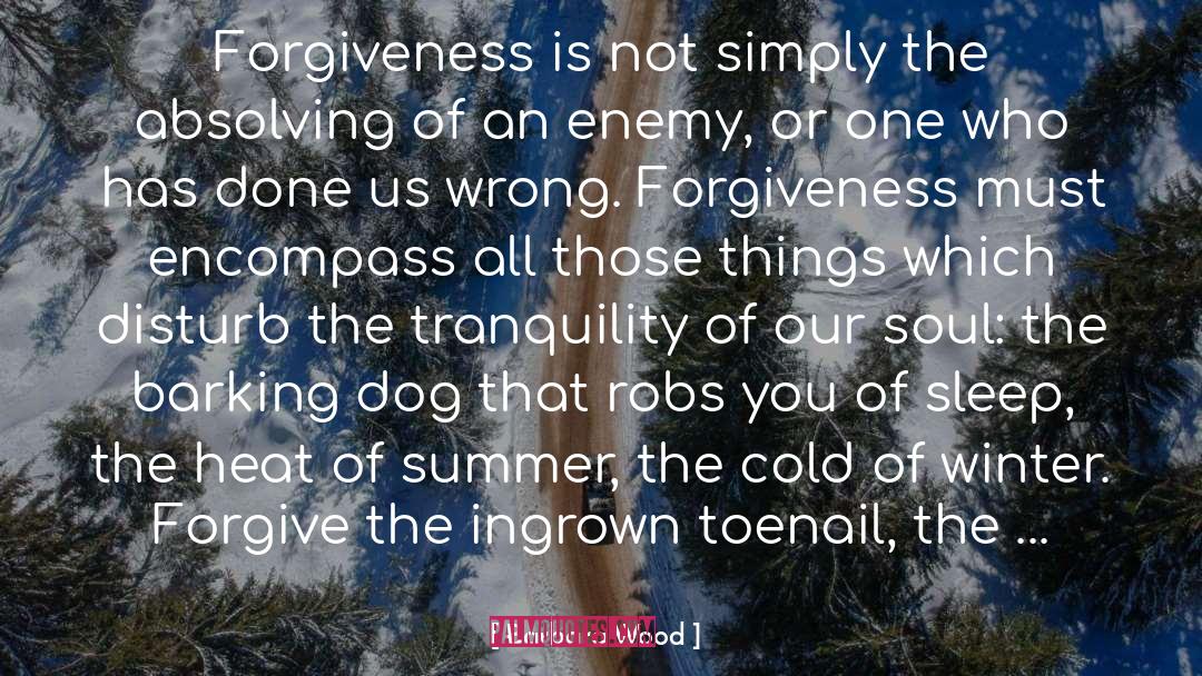 Barbara Wood Quotes: Forgiveness is not simply the