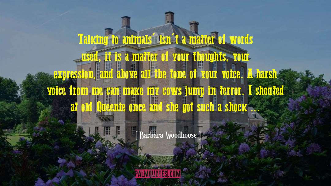 Barbara Woodhouse Quotes: Talking to animals' isn't a