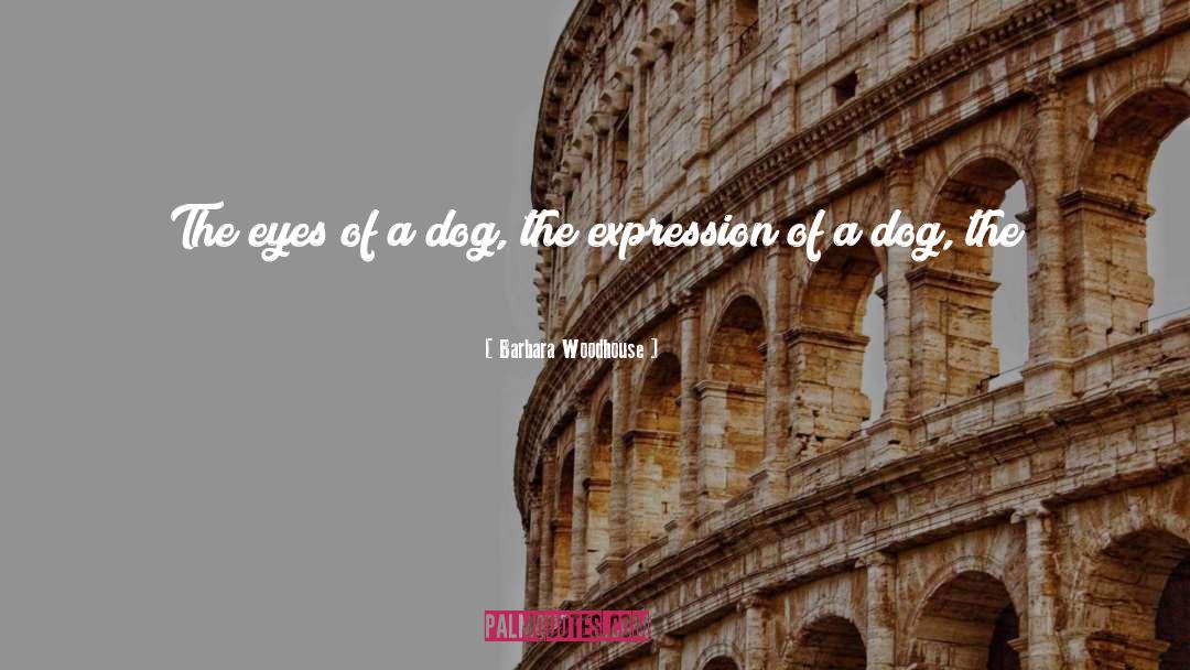 Barbara Woodhouse Quotes: The eyes of a dog,