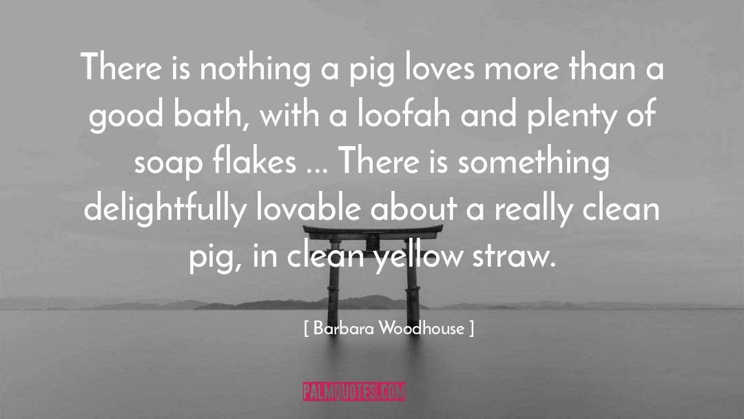 Barbara Woodhouse Quotes: There is nothing a pig