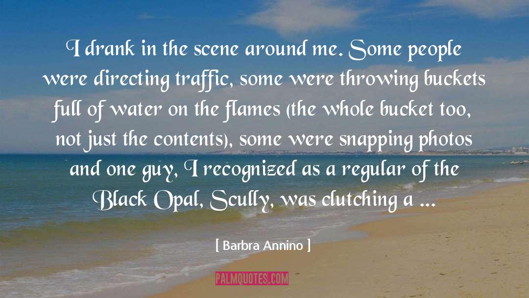Barbra Annino Quotes: I drank in the scene