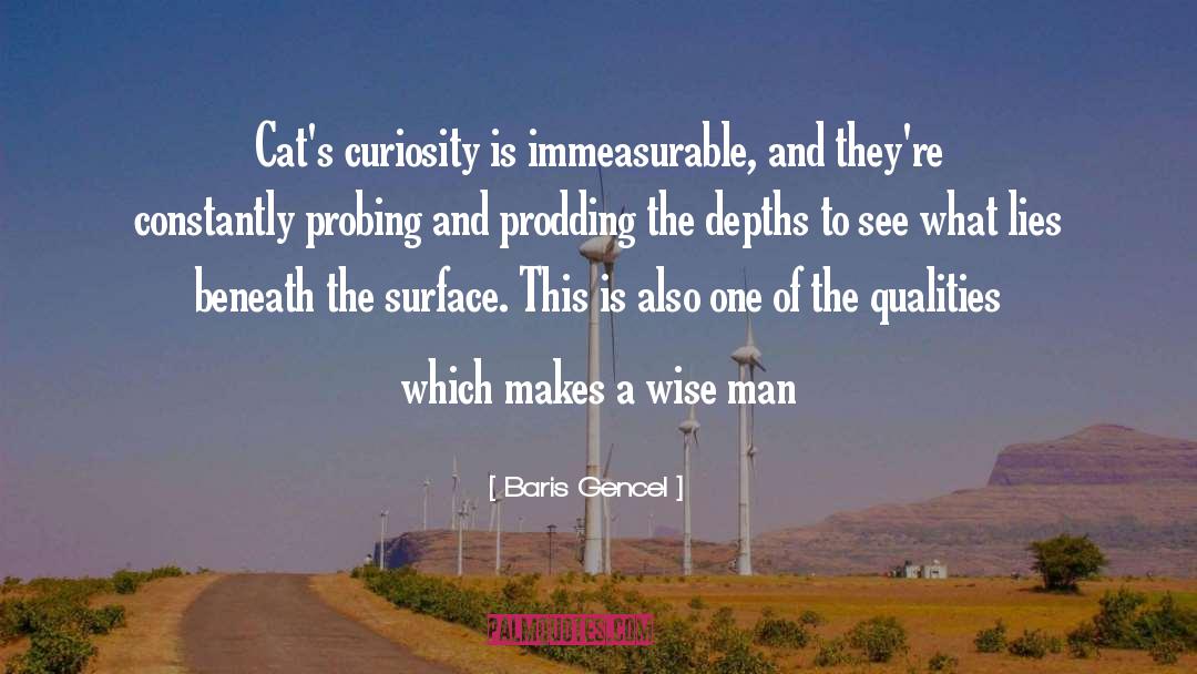 Baris Gencel Quotes: Cat's curiosity is immeasurable, and