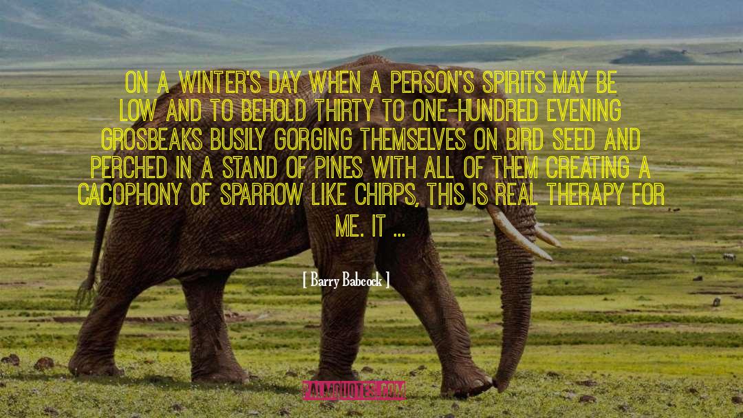 Barry Babcock Quotes: On a winter's day when