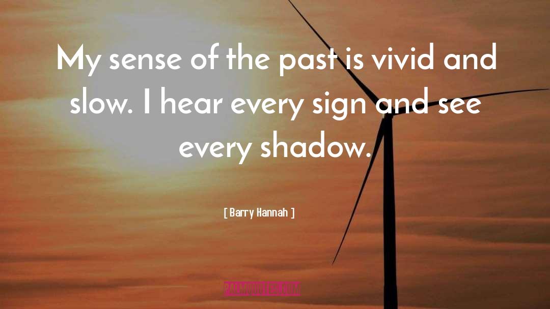 Barry Hannah Quotes: My sense of the past