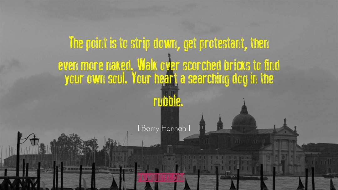 Barry Hannah Quotes: The point is to strip