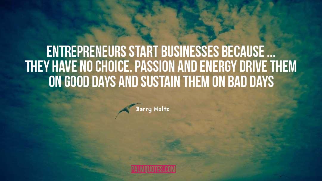 Barry Moltz Quotes: Entrepreneurs start businesses because ...