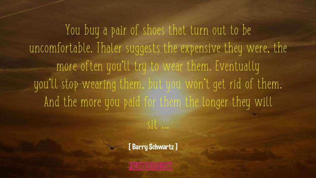 Barry Schwartz Quotes: You buy a pair of