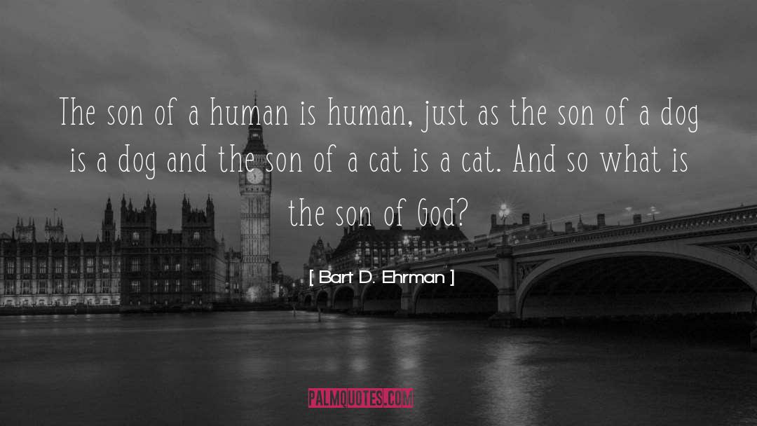 Bart D. Ehrman Quotes: The son of a human