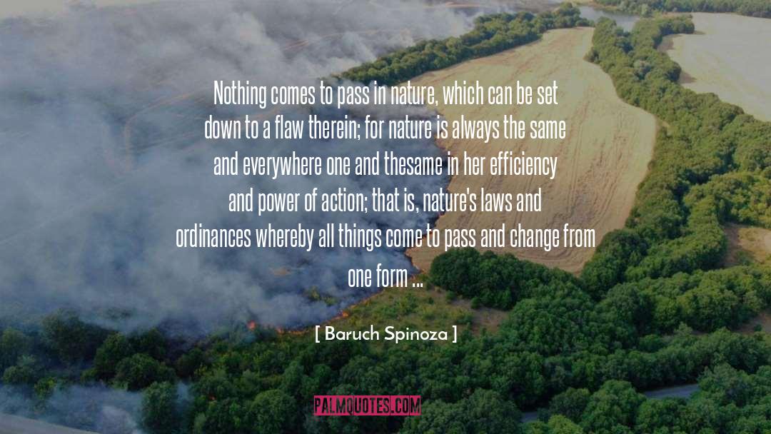 Baruch Spinoza Quotes: Nothing comes to pass in