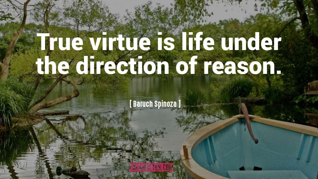 Baruch Spinoza Quotes: True virtue is life under