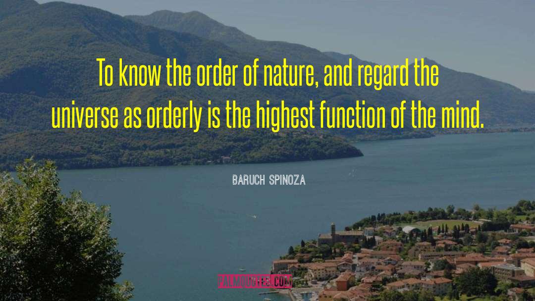 Baruch Spinoza Quotes: To know the order of