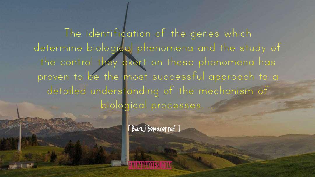 Baruj Benacerraf Quotes: The identification of the genes