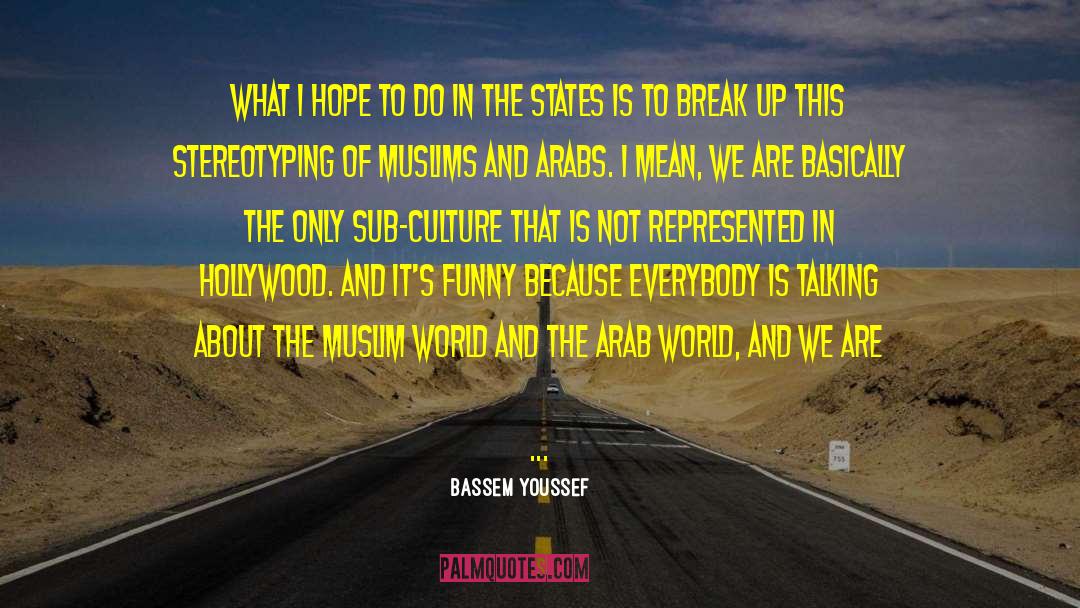 Bassem Youssef Quotes: What I hope to do