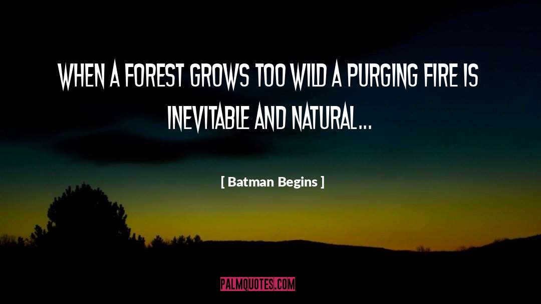 Batman Begins Quotes: When a forest grows too