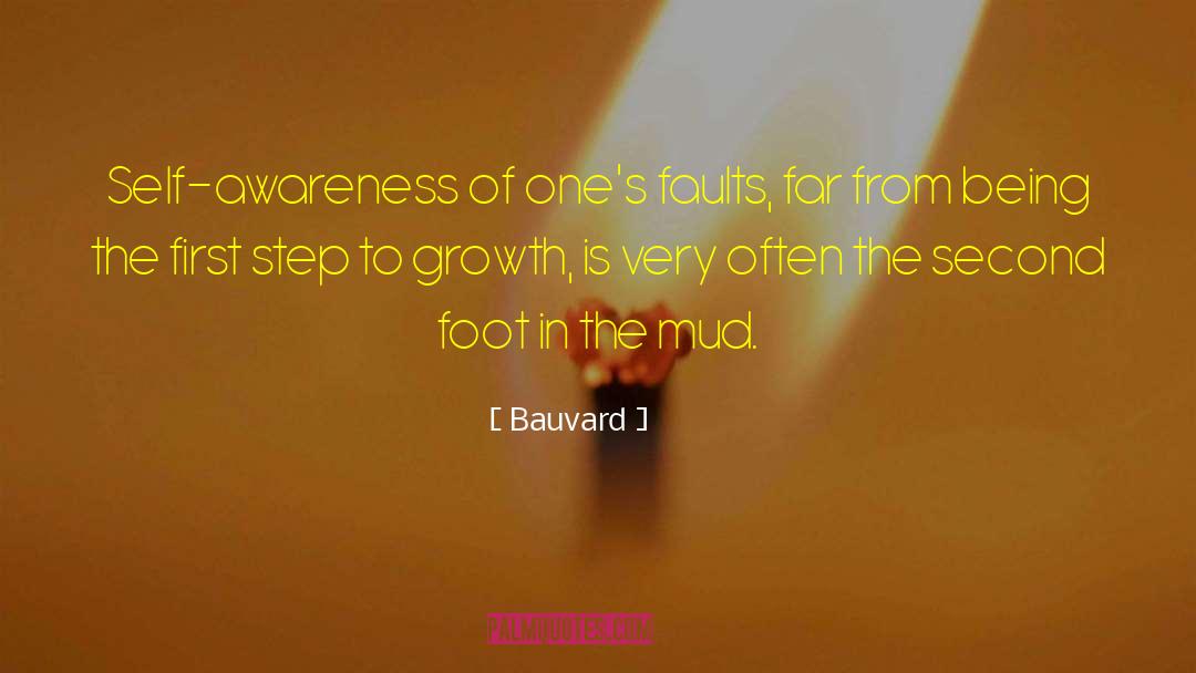 Bauvard Quotes: Self-awareness of one's faults, far