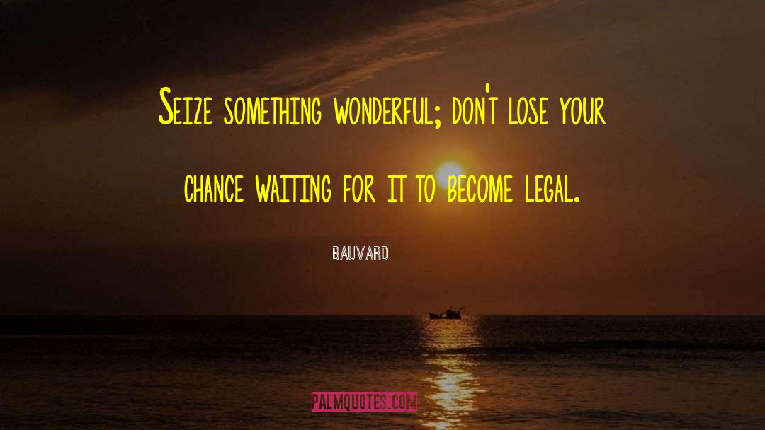 Bauvard Quotes: Seize something wonderful; don't lose