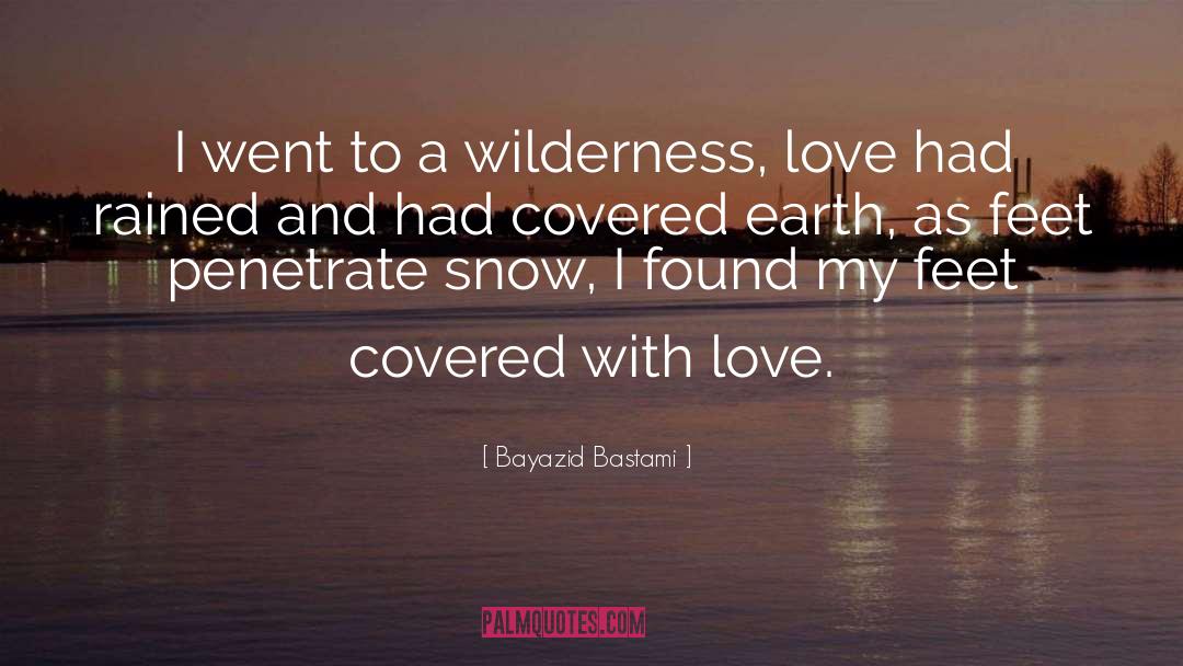Bayazid Bastami Quotes: I went to a wilderness,