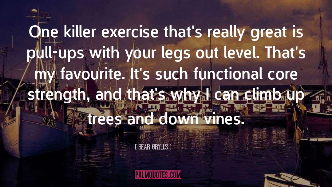 Bear Grylls Quotes: One killer exercise that's really