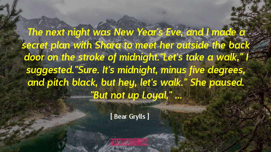 Bear Grylls Quotes: The next night was New