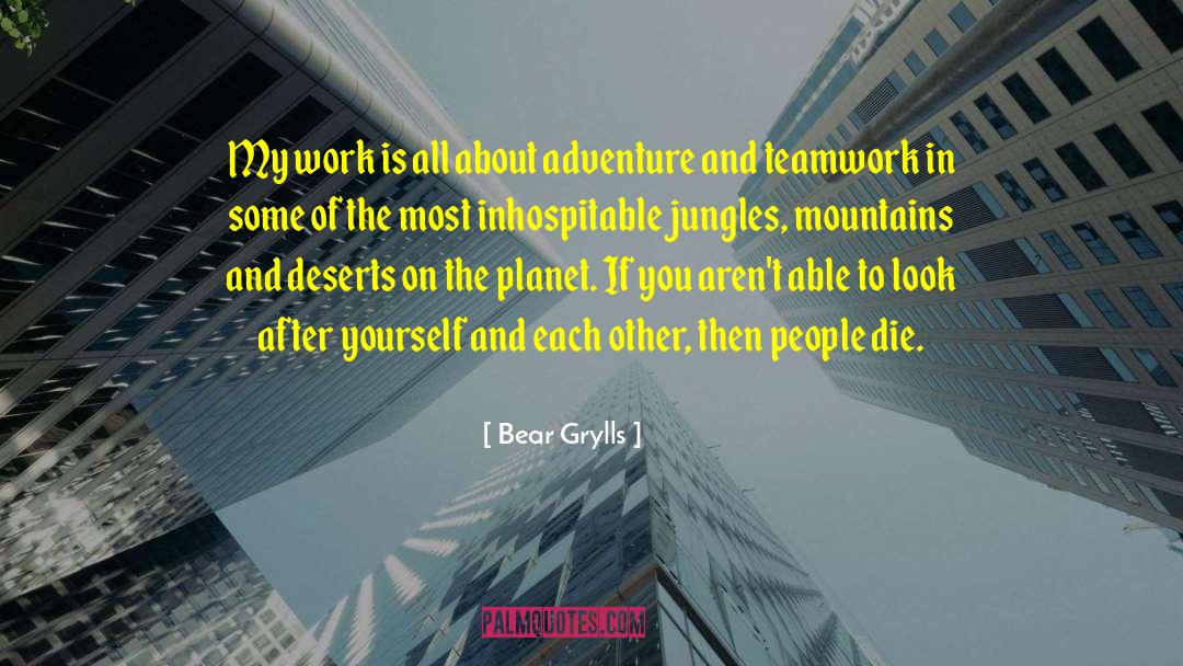 Bear Grylls Quotes: My work is all about
