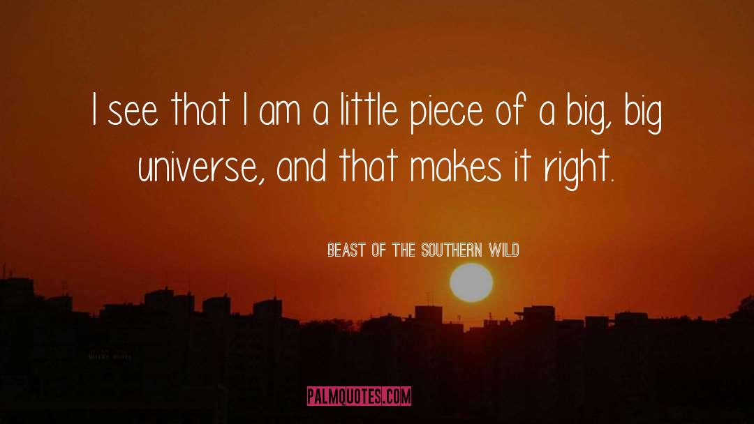 Beast Of The Southern Wild Quotes: I see that I am