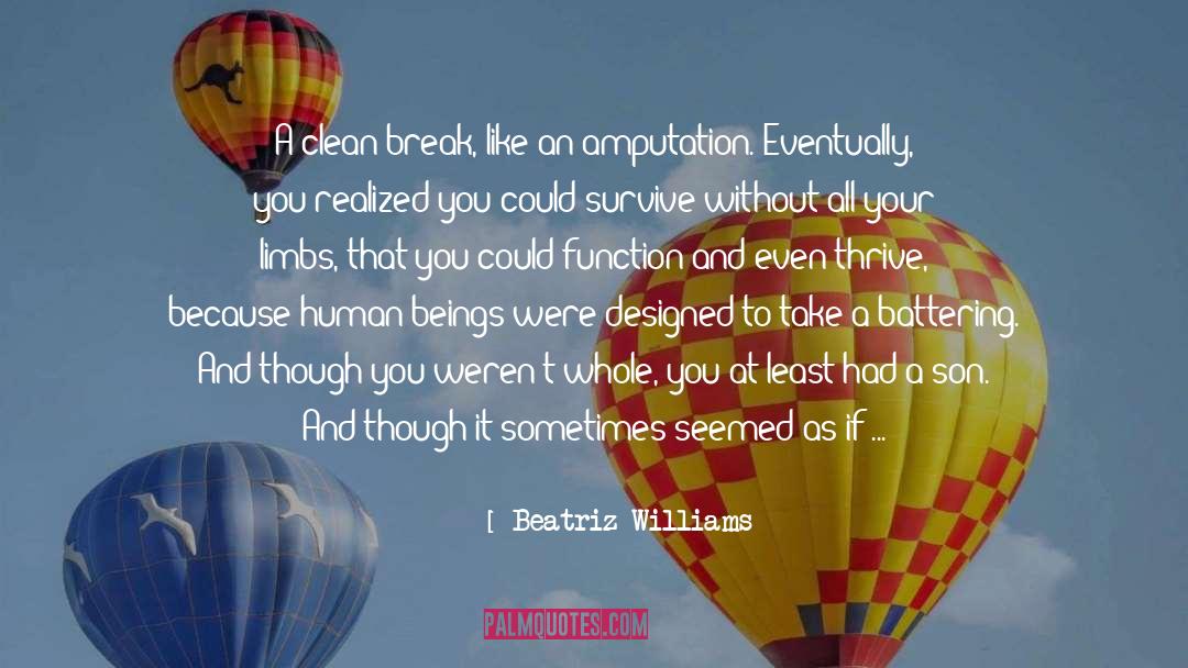 Beatriz Williams Quotes: A clean break, like an