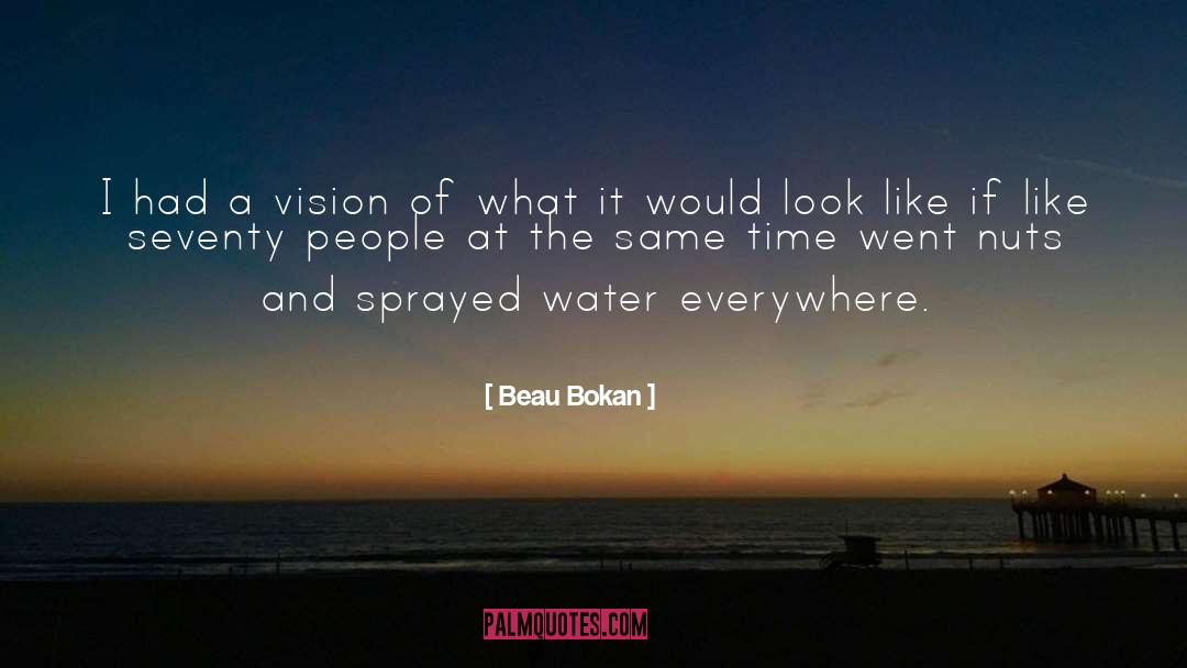 Beau Bokan Quotes: I had a vision of