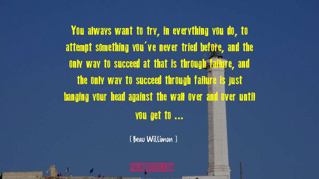 Beau Willimon Quotes: You always want to try,
