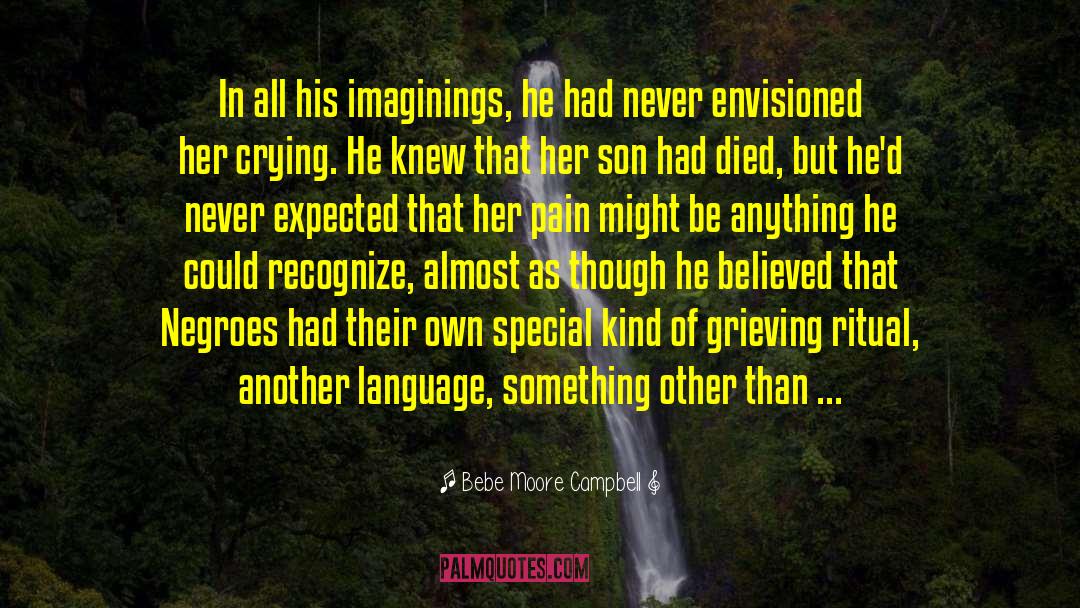 Bebe Moore Campbell Quotes: In all his imaginings, he