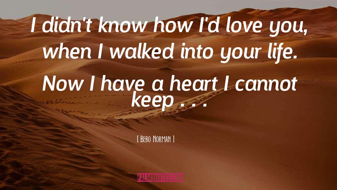 Bebo Norman Quotes: I didn't know how I'd