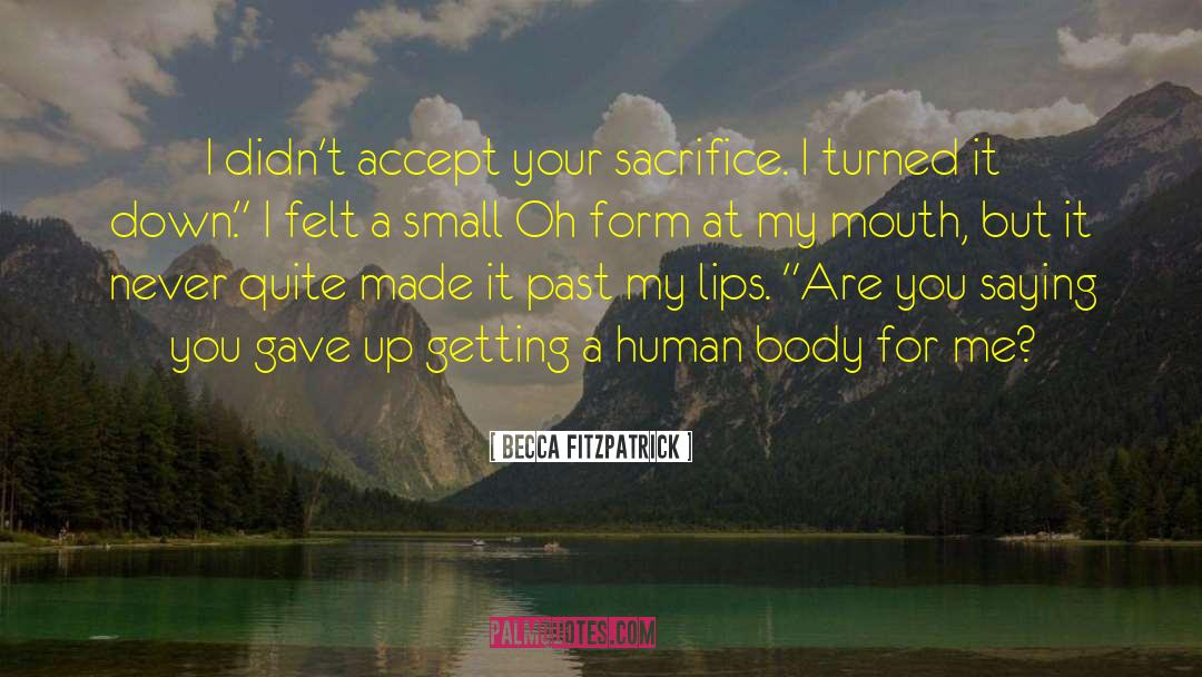 Becca Fitzpatrick Quotes: I didn't accept your sacrifice.