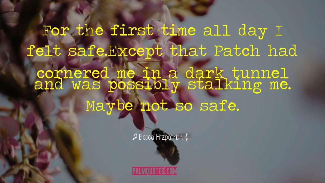 Becca Fitzpatrick Quotes: For the first time all