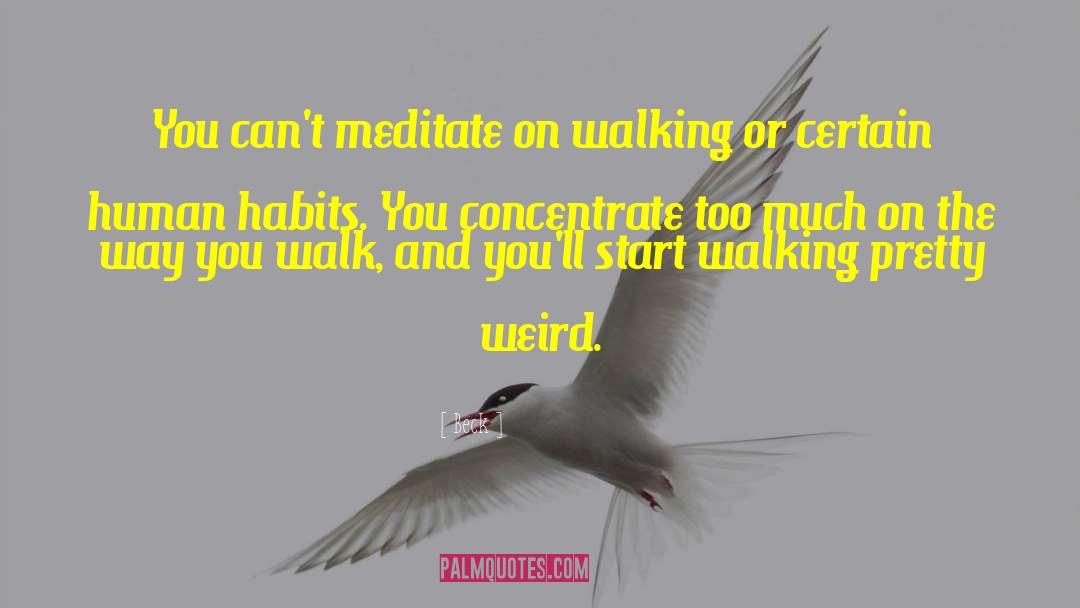 Beck Quotes: You can't meditate on walking