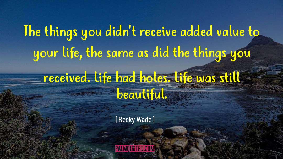 Becky Wade Quotes: The things you didn't receive