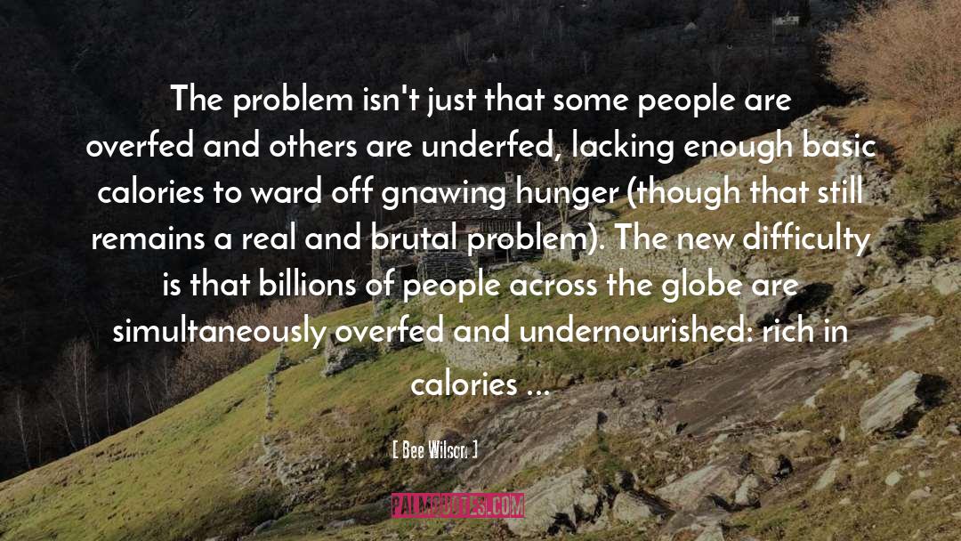 Bee Wilson Quotes: The problem isn't just that