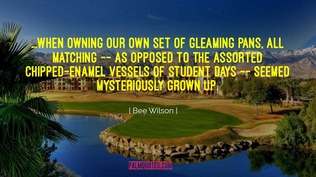 Bee Wilson Quotes: ...when owning our own set