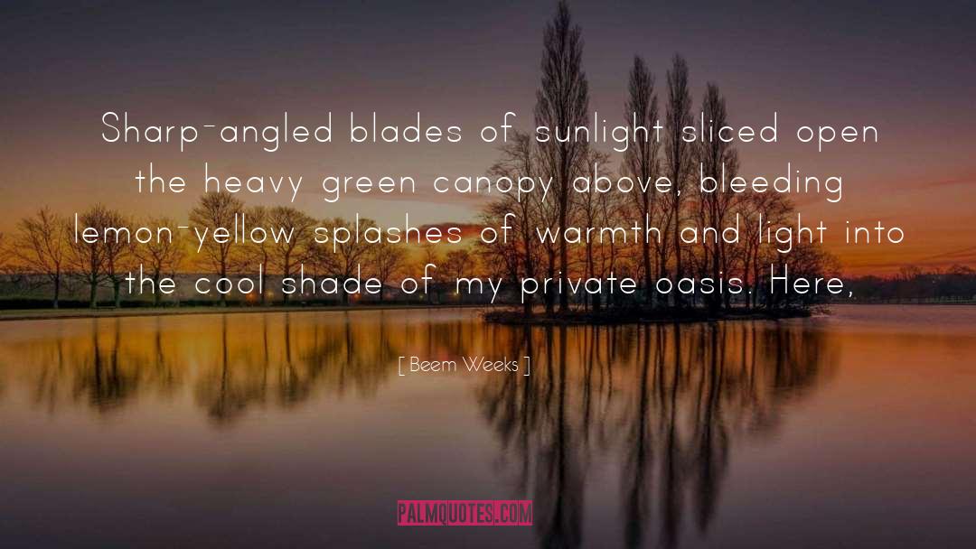 Beem Weeks Quotes: Sharp-angled blades of sunlight sliced