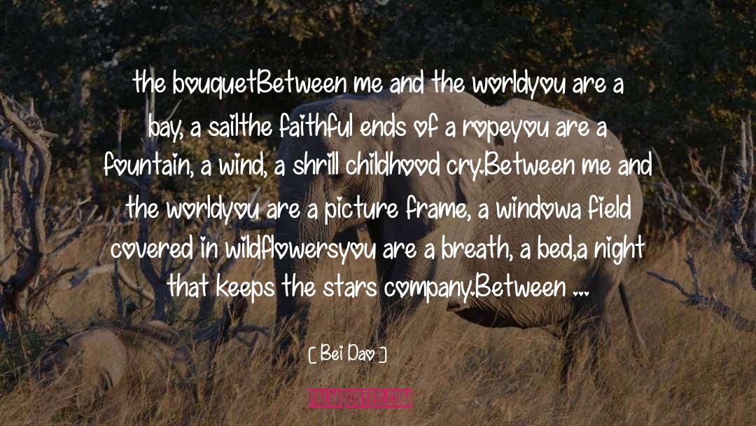 Bei Dao Quotes: the bouquet<br /><br />Between me