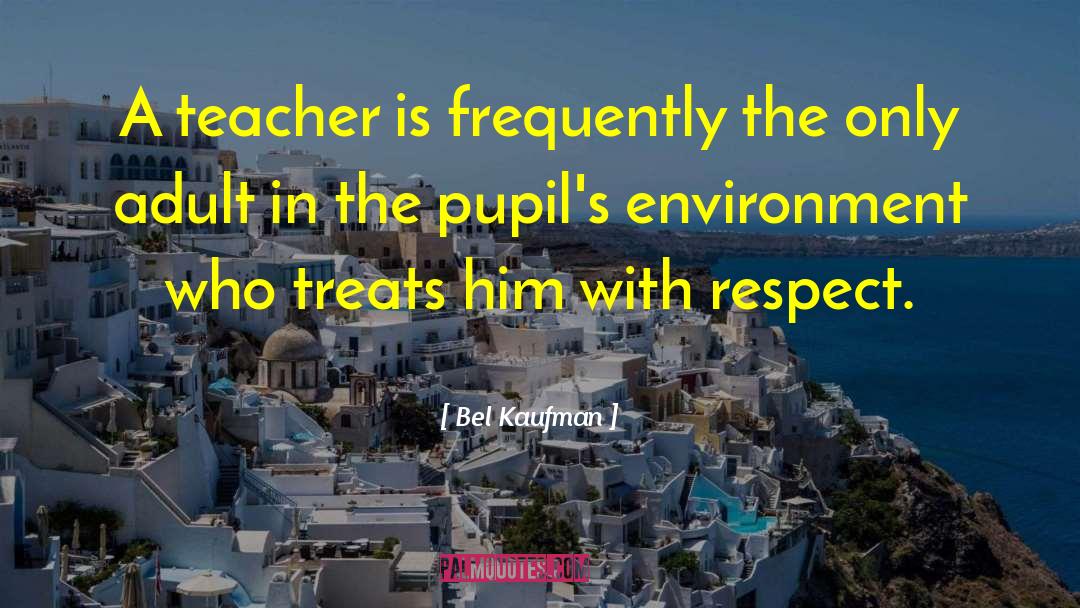 Bel Kaufman Quotes: A teacher is frequently the
