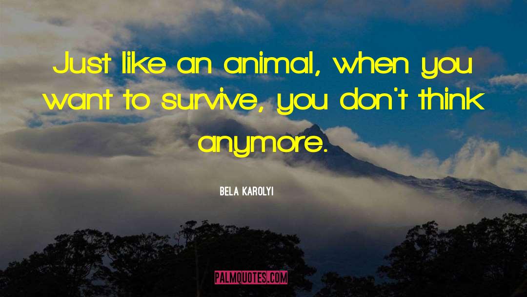 Bela Karolyi Quotes: Just like an animal, when