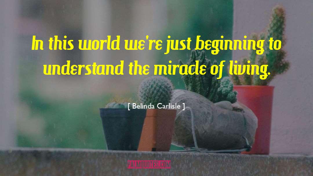 Belinda Carlisle Quotes: In this world we're just