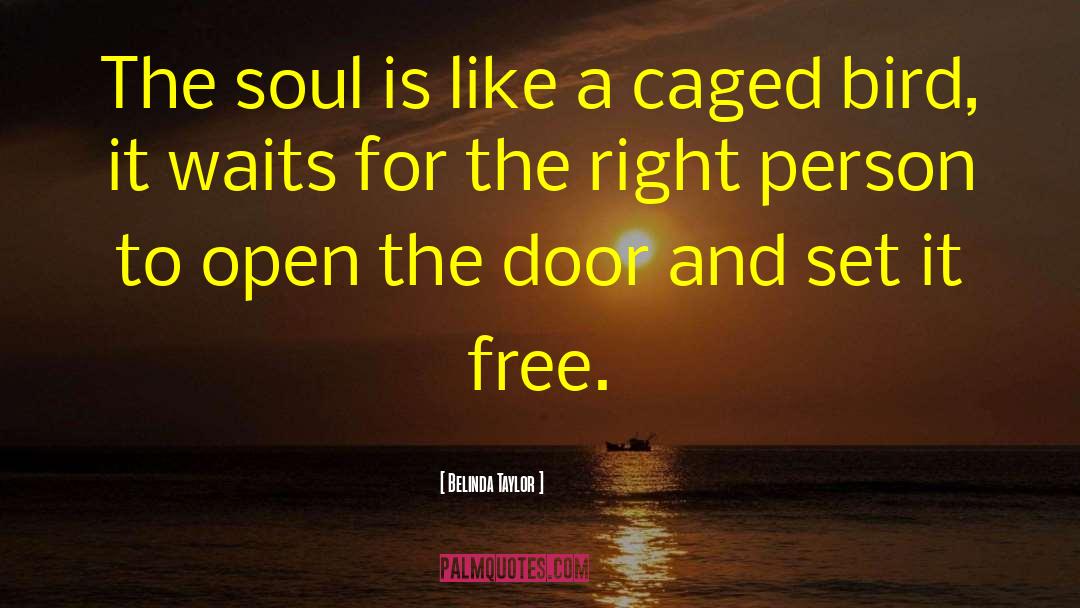 Belinda Taylor Quotes: The soul is like a