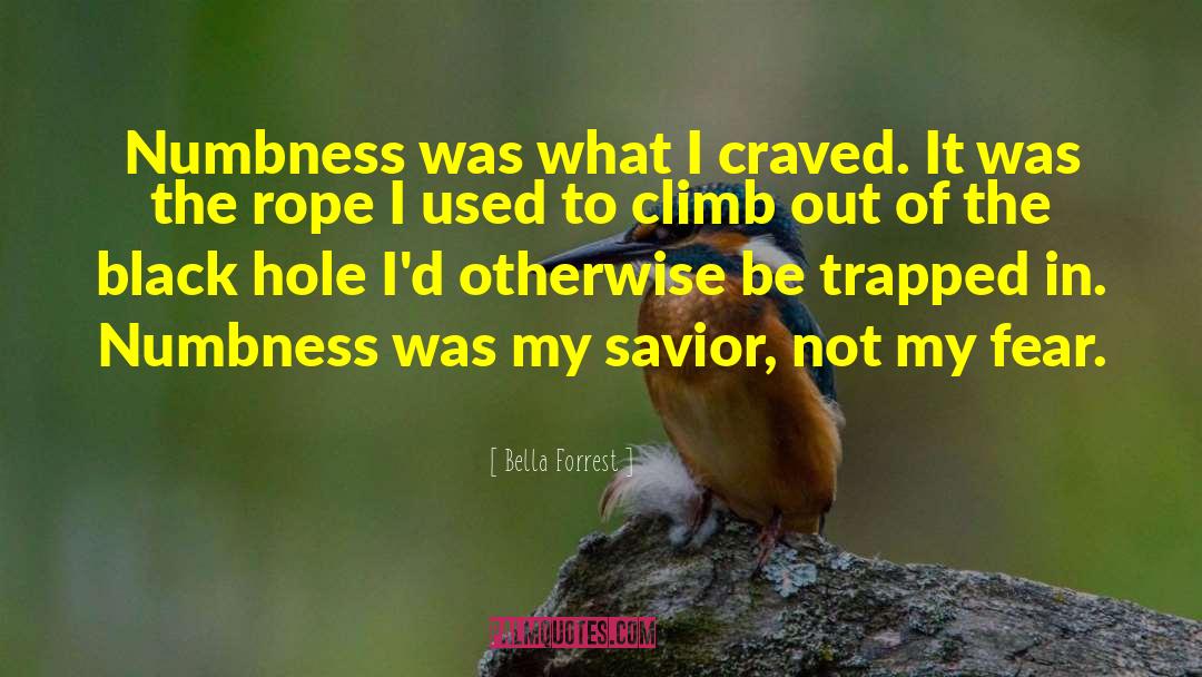 Bella Forrest Quotes: Numbness was what I craved.