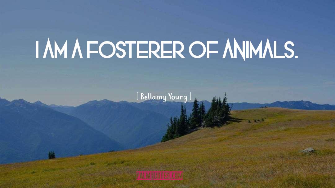 Bellamy Young Quotes: I am a fosterer of