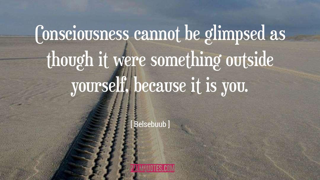 Belsebuub Quotes: Consciousness cannot be glimpsed as