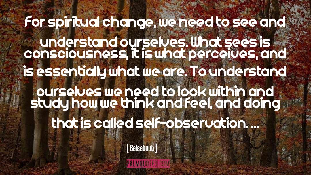 Belsebuub Quotes: For spiritual change, we need