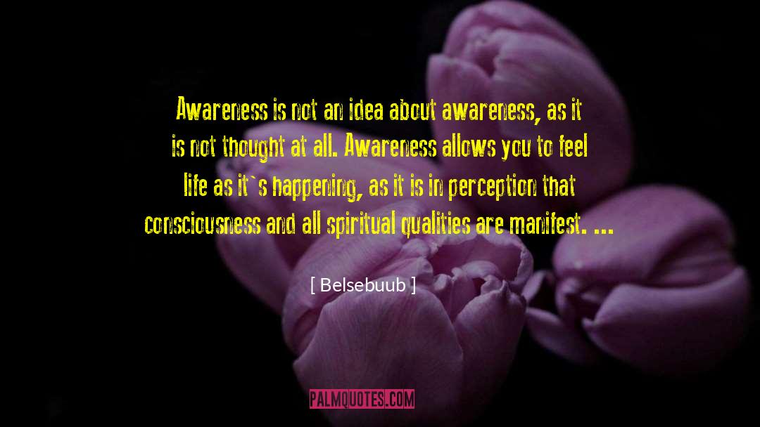 Belsebuub Quotes: Awareness is not an idea