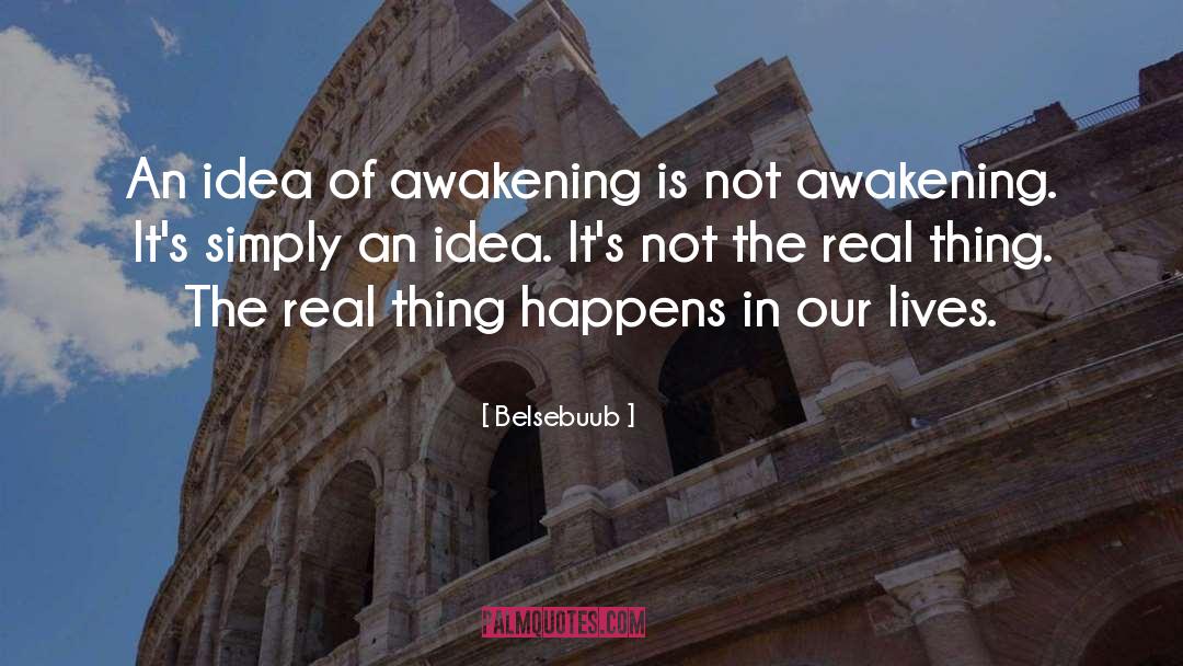 Belsebuub Quotes: An idea of awakening is