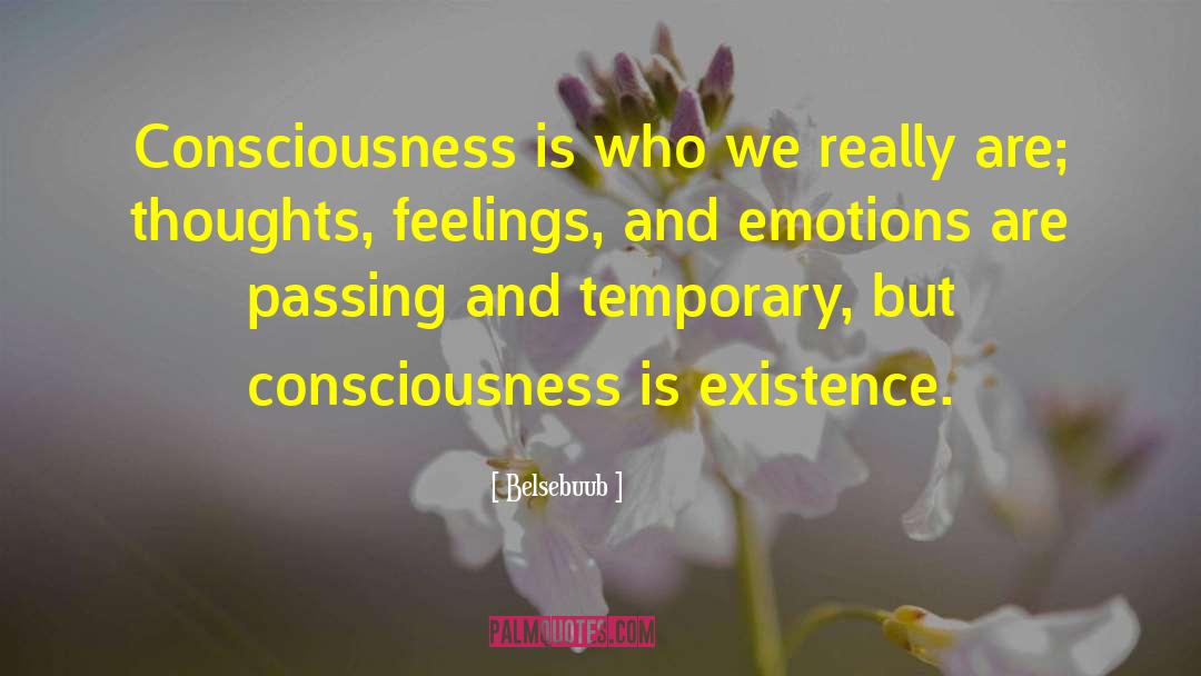 Belsebuub Quotes: Consciousness is who we really