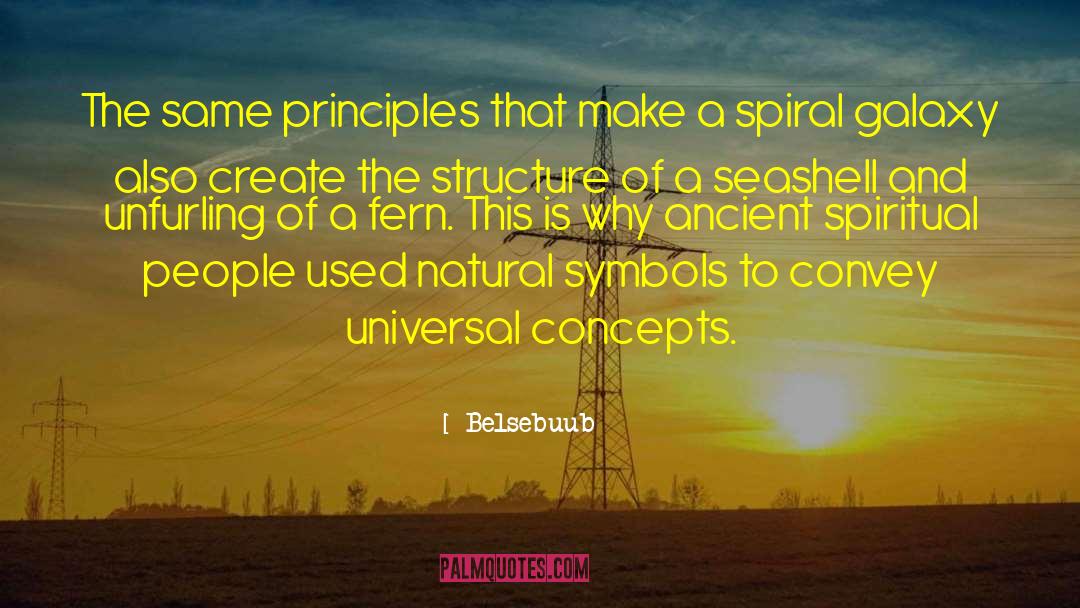 Belsebuub Quotes: The same principles that make